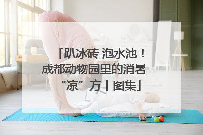 趴冰砖 泡水池！成都动物园里的消暑“凉”方丨图集
