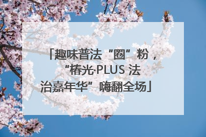 趣味普法“圈”粉，“椿光·PLUS 法治嘉年华”嗨翻全场