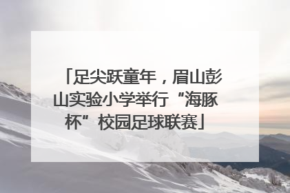 足尖跃童年，眉山彭山实验小学举行“海豚杯”校园足球联赛