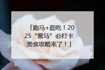 跑马+逛吃！2025“紫马”必打卡美食攻略来了！