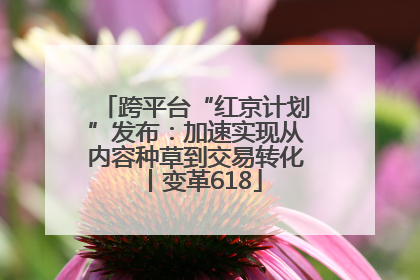 跨平台“红京计划”发布：加速实现从内容种草到交易转化丨变革618