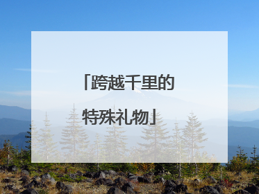 跨越千里的特殊礼物