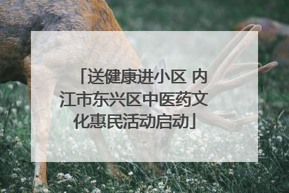 送健康进小区 内江市东兴区中医药文化惠民活动启动