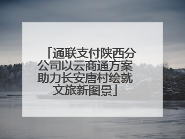 通联支付陕西分公司以云商通方案助力长安唐村绘就文旅新图景