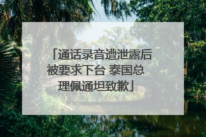 通话录音遭泄露后被要求下台 泰国总理佩通坦致歉