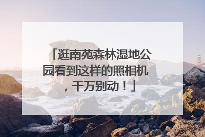 逛南苑森林湿地公园看到这样的照相机，千万别动！