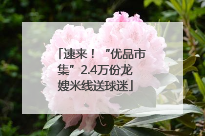 速来！“优品市集”2.4万份龙嫂米线送球迷