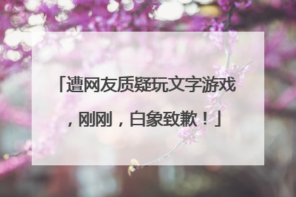 遭网友质疑玩文字游戏，刚刚，白象致歉！