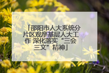 邵阳市人大系统分片区观摩基层人大工作 深化落实“三会三文”精神