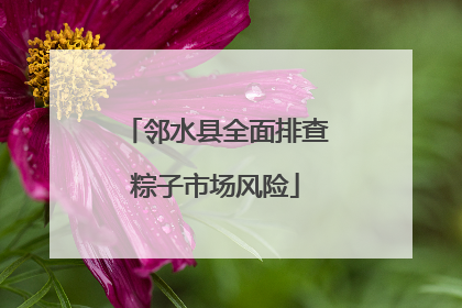 邻水县全面排查粽子市场风险