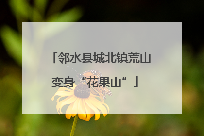 邻水县城北镇荒山变身“花果山”