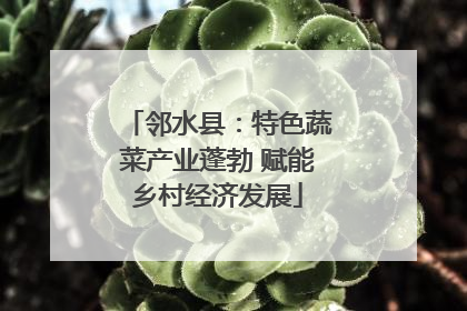 邻水县：特色蔬菜产业蓬勃 赋能乡村经济发展