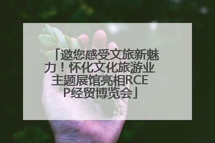 邀您感受文旅新魅力！怀化文化旅游业主题展馆亮相RCEP经贸博览会