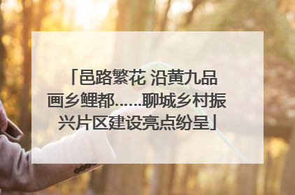 邑路繁花 沿黄九品 画乡鲤都……聊城乡村振兴片区建设亮点纷呈