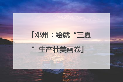 邓州：绘就“三夏”生产壮美画卷