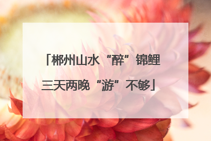 郴州山水“醉”锦鲤 三天两晚“游”不够