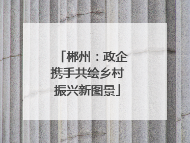 郴州：政企携手共绘乡村振兴新图景