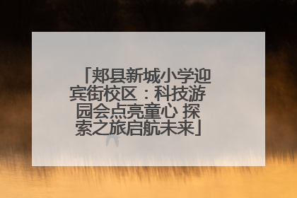 郏县新城小学迎宾街校区：科技游园会点亮童心 探索之旅启航未来