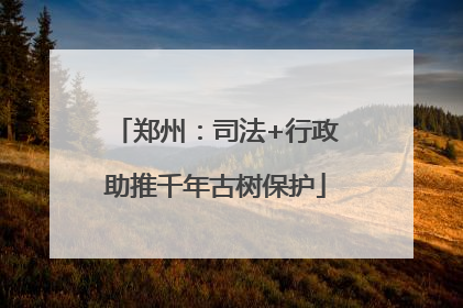 郑州：司法+行政助推千年古树保护