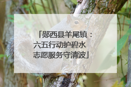 郧西县羊尾镇：六五行动护碧水 志愿服务守清波