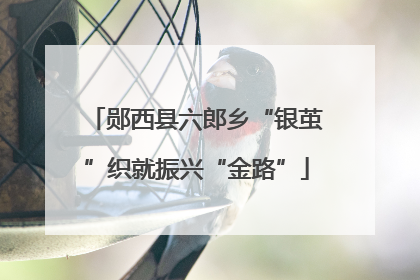 郧西县六郎乡“银茧”织就振兴“金路”