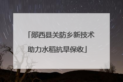郧西县关防乡新技术助力水稻抗旱保收