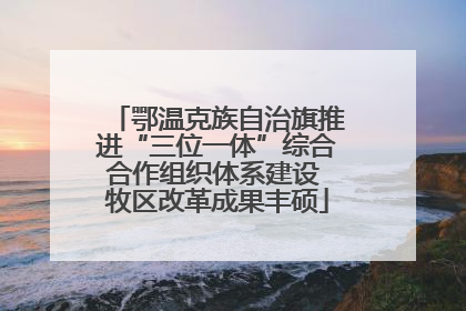 鄂温克族自治旗推进“三位一体”综合合作组织体系建设 牧区改革成果丰硕