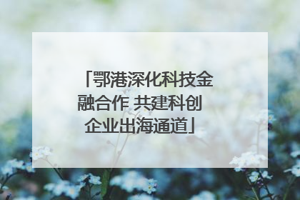 鄂港深化科技金融合作 共建科创企业出海通道
