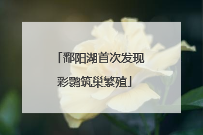 鄱阳湖首次发现彩鹮筑巢繁殖