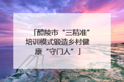 醴陵市“三精准”培训模式锻造乡村健康“守门人”