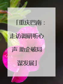 重庆巴南：走访调研听心声 助企破局谋发展