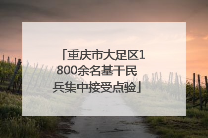 重庆市大足区1800余名基干民兵集中接受点验
