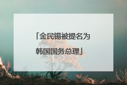 金民锡被提名为韩国国务总理