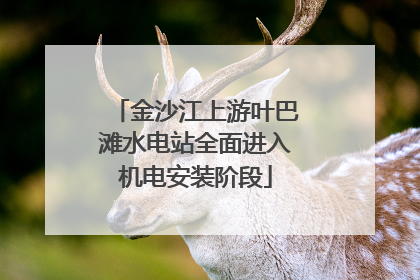 金沙江上游叶巴滩水电站全面进入机电安装阶段