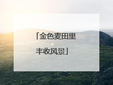 金色麦田里丰收风景