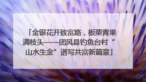 金银花开致富路，板栗青果满枝头——团风县钓鱼台村“山水生金”谱写共富新篇章