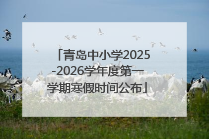 青岛中小学2025-2026学年度第一学期寒假时间公布