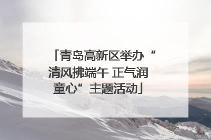 青岛高新区举办“清风拂端午 正气润童心”主题活动