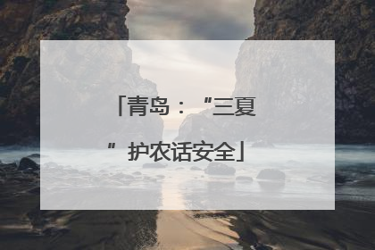 青岛：“三夏”护农话安全