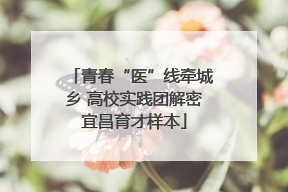 青春“医”线牵城乡 高校实践团解密宜昌育才样本