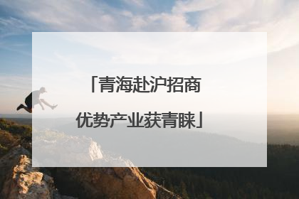 青海赴沪招商 优势产业获青睐