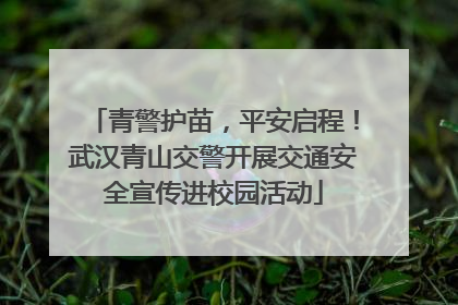 青警护苗，平安启程！武汉青山交警开展交通安全宣传进校园活动