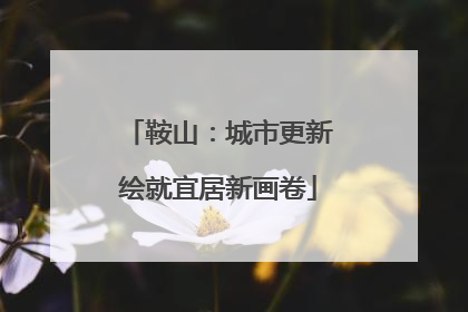 鞍山：城市更新绘就宜居新画卷