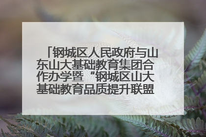 钢城区人民政府与山东山大基础教育集团合作办学暨“钢城区山大基础教育品质提升联盟”签约揭牌活动举行