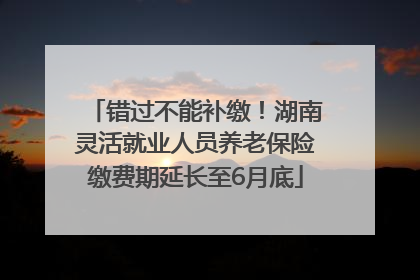 错过不能补缴！湖南灵活就业人员养老保险缴费期延长至6月底