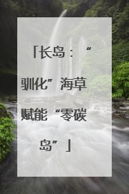 长岛：“驯化”海草赋能“零碳岛”