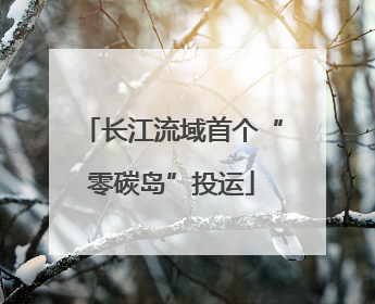 长江流域首个“零碳岛”投运