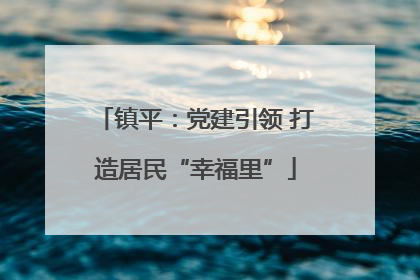镇平：党建引领 打造居民“幸福里”