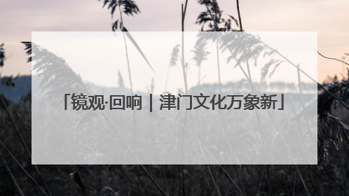 镜观·回响｜津门文化万象新