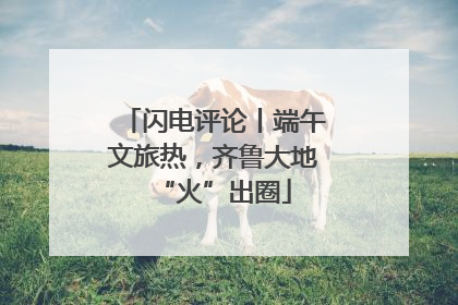 闪电评论丨端午文旅热，齐鲁大地“火”出圈